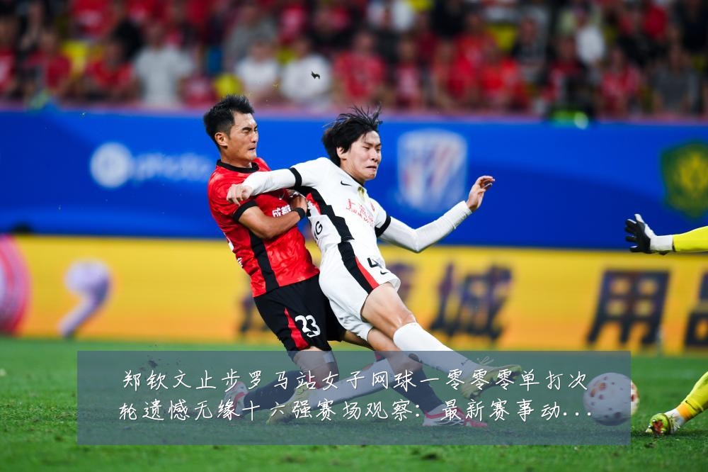 郑钦文止步罗马站女子网球一零零零单打次轮遗憾无缘十六强赛场观察:最新赛事动态与深度分析
